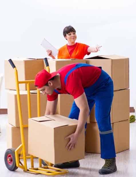 Why Are We The Most Suggested Perth To Darwin Removalists?